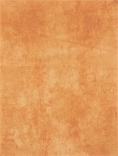 Плитка настінна Rako Patina червоно-коричневий WATKB231 25×33